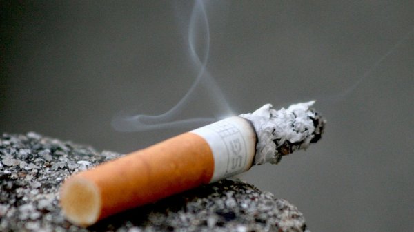 Три депутата ЖК предложили унифицировать ставки акцизного налога на сигареты с фильтром и без фильтра — Tazabek