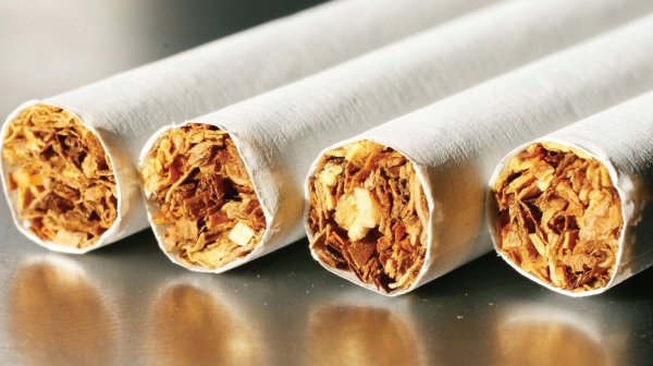ЖК отправил на голосование во II чтении норму об увеличении ставок акциза на табак, от чего ожидают 938 млн сомов дохода в госбюджет в 2018 году — Tazabek