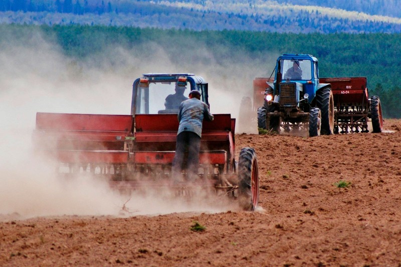 За год посевная площадь зерновых культур сократилась на 10,7 тыс. гектаров, - Нацстатком — Tazabek