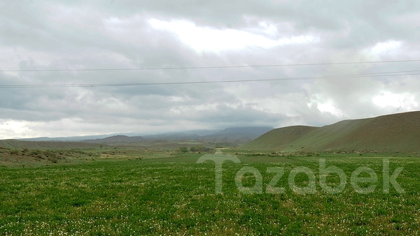 Госкомпромэнергонедр предложил разрешить физическим и юридическим лицам использовать пастбища для разработки месторождений полезных ископаемых — Tazabek