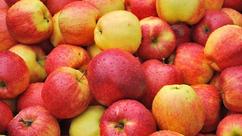 Россельхознадзор не разрешил ввоз 17 тонн кыргызских свежих яблок на территорию России — Tazabek