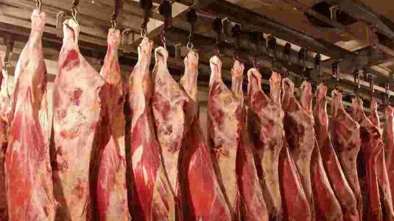 За 9 месяцев Бишкекская городская инспекция по ветеринарной и фитосанитарной безопасности утилизировала свыше 7 тонн говядины, 3 тонны баранины и 600 кг конины — Tazabek