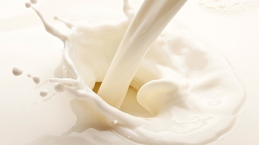 Производители молочной продукции связывают падение цен на молоко с мировой тенденцией — Tazabek