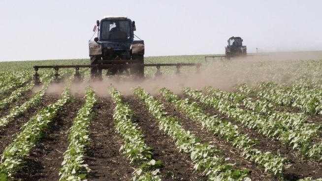 Правительство утвердило проект «Финансирование сельского хозяйства–6» — Tazabek