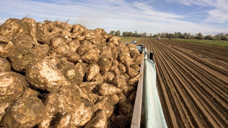Минэкономики отмечает рост объемов переработки пищевой продукции в Кыргызстане за последние 2 года — Tazabek