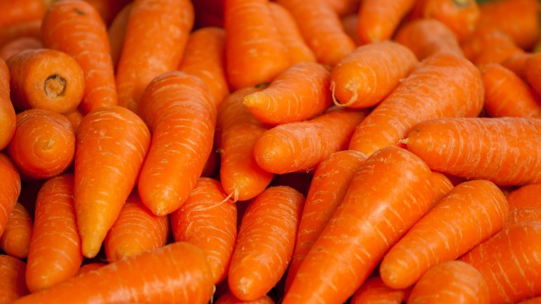 Россельхознадзор не пропустил 40,3 тонны моркови из Кыргызстана — Tazabek