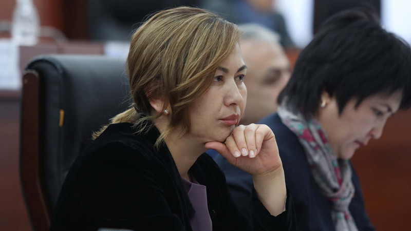 Депутат предложила создать в Кыргызстане ряд особых экономических территорий, в том числе туристически-рекреационную — Tazabek