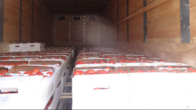 Россельхознадзор в конце мая вернул в Кыргызстан и Казахстан 117 тонн подкарантинной продукции — Tazabek