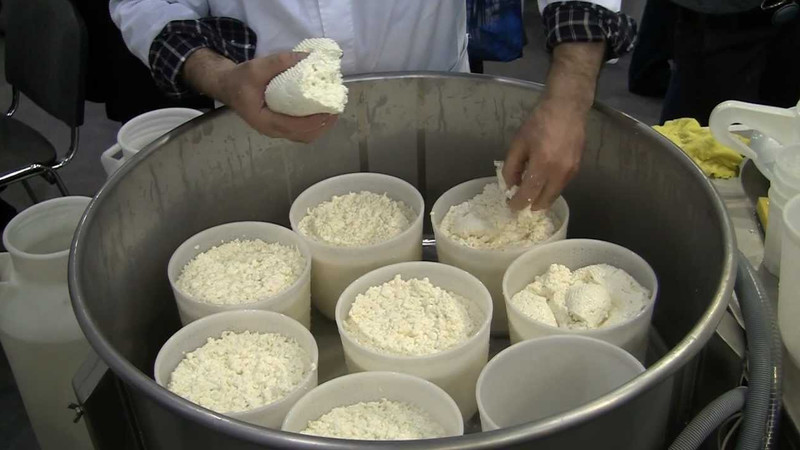 Лидеры производства: В каком регионе КР производится больше сыра? — Tazabek