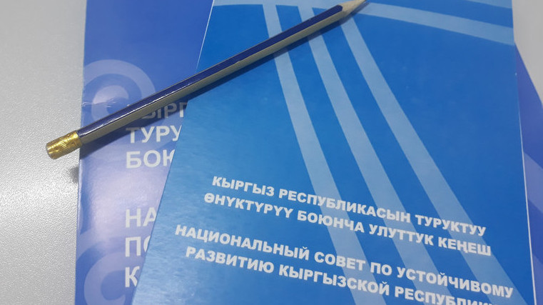 Нацстратегия — 2040: Какие 15  проектов предусмотрены для Нарынской области — Tazabek