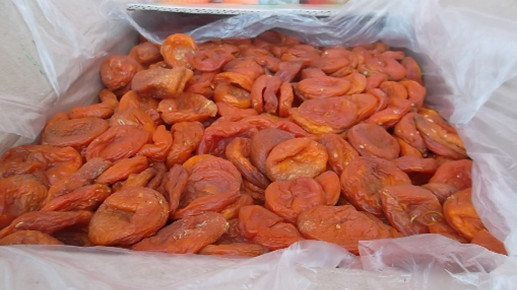 Россельхознадзор не пропустил 20,3 тонны кыргызских сухофруктов и орехов на территории Омской и Новосибирской областей — Tazabek