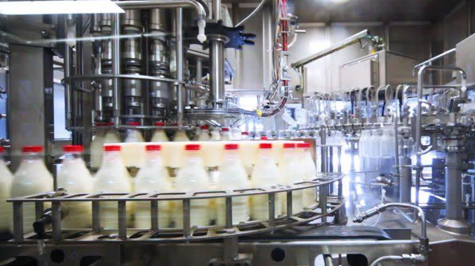 Белоруссия собирается построить самый большой в Кыргызстане молокозавод со своей фермой, - Минсельхоз — Tazabek
