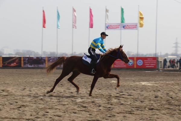 Лошадь М.Турганбаева победила на скачках «топ байге» в Бишкеке (результаты)  - Sport АКИpress