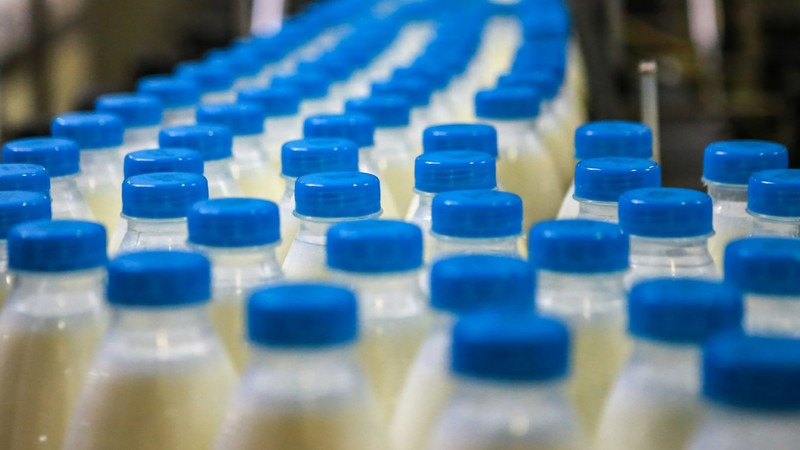 Представитель ассоциации переработчиков молока рассказала о работе в условиях ЕАЭС — Tazabek