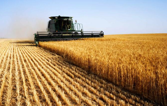За 2 месяца доля Беларуси и Кыргызстана в общем объеме произведенной продукции сельского хозяйства ЕАЭС сократилась на 1,9% и 0,5% — Tazabek