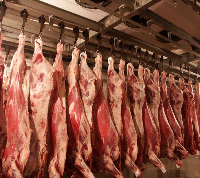 Чуйская область имеет возможность экспортировать до 25 тыс. тонн мяса в год, - полпред — Tazabek