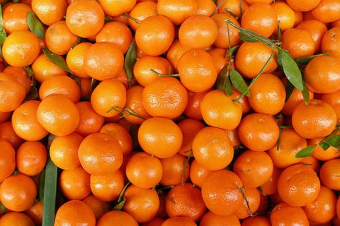 ГСБЭП возбудила уголовное дело по факту контрабанды 11,6 тонны мандаринов на полмиллиона сомов — Tazabek