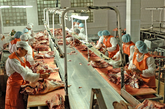 Строительство 1 мясокомбината стоит порядка $1 млн, - мясопроизводители — Tazabek