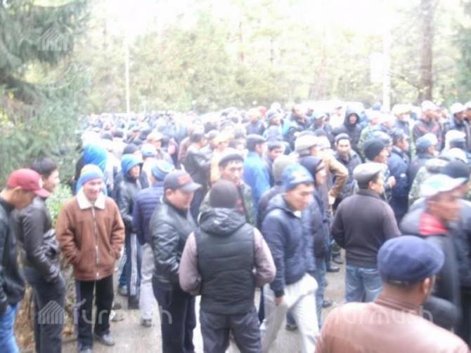 Правительство после митинга фермеров из-за низких цен на фасоль выслало в Таласскую область глав профильных госорганов — Tazabek