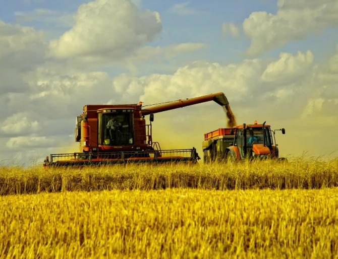 Правительство утвердило нормативы стоимости возмещения потерь сельхозпроизводства при трансформации сельхозугодий — Tazabek