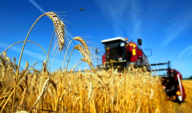 С начала года 4,5 тыс. сельхозпроизводителей получили льготные кредиты на 1,6 млрд сомов — Tazabek