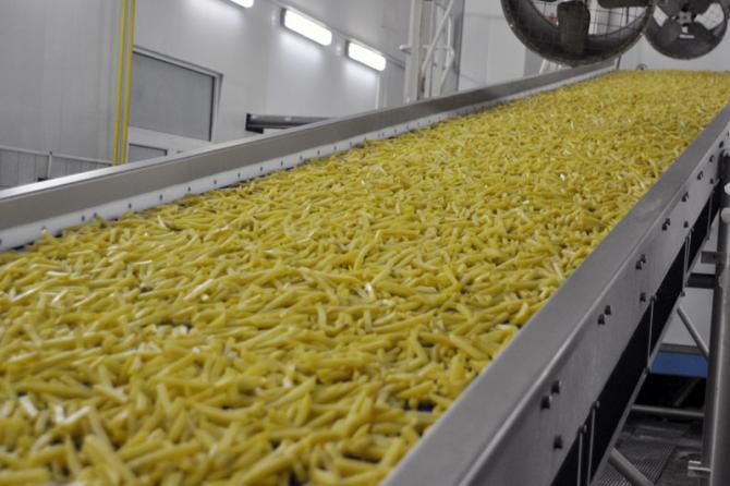 Индийская компания планирует ввести в эксплуатацию Таласский картофелеперерабатывающий завод — Tazabek