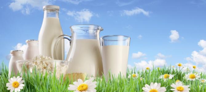 Повышение цен на молочную продукцию ожидается в сентябре в связи с сезонностью продаж, а не из-за вступления в ЕАЭС, - бизнесмен — Tazabek
