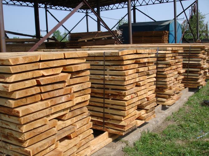Сколько платят в бюджет 94 компании-импортеры лесоматериалов и древесины в Кыргызстан? (руководители, учредители) — Tazabek