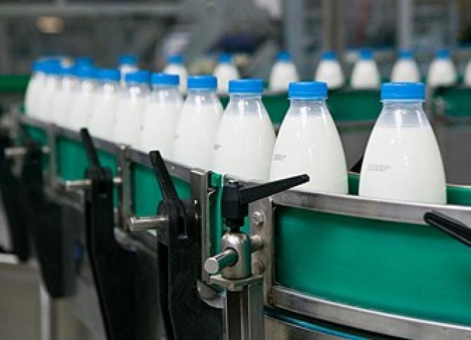 Кыргызстану бесполезно конкурировать с Белоруссией по молоку, - директор фонда Б.Дегенбаев — Tazabek