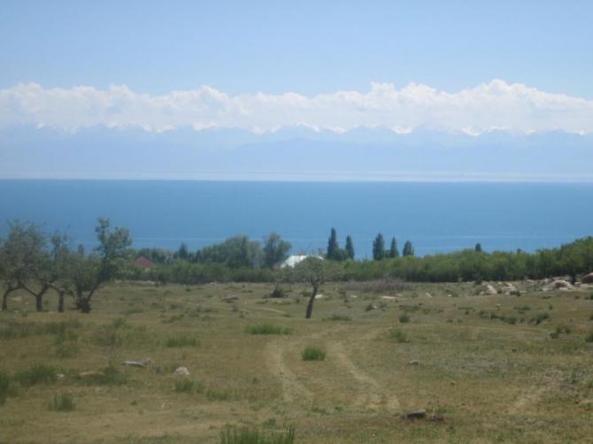 «Банковские залоги»: Можно ли недорого купить земельный участок на побережье Иссык-Куля? Легко! — Tazabek