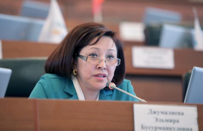 Депутат Э.Джумалиева считает, что Нацбанк не сработал в 2014 году на оценку «хорошо» — Tazabek