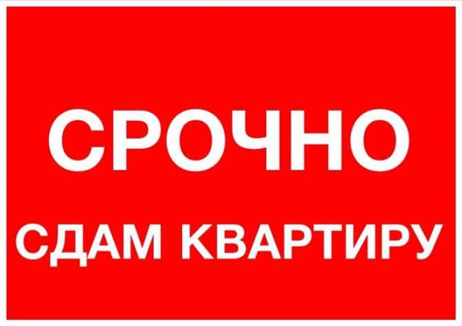 В 2014 году 251 налогоплательщик Бишкека уплатил 4,7 млн сомов за сдачу квартир в аренду — Tazabek