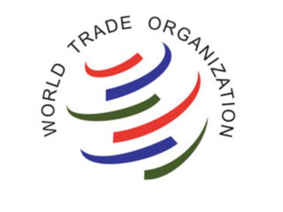 Кыргызстан уведомил комитет ВТО о присоединении к договору о ЕАЭС — Tazabek