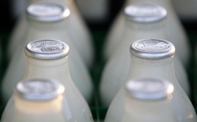 До конца октября ожидается приезд комиссии Казахстана, России и Беларуси для проверки молочных предприятий КР — Tazabek
