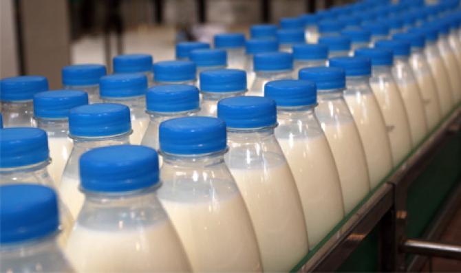 Молочные предприятия КР: Рынок не защищен, каждая компания рухнула на 40% практически — Tazabek
