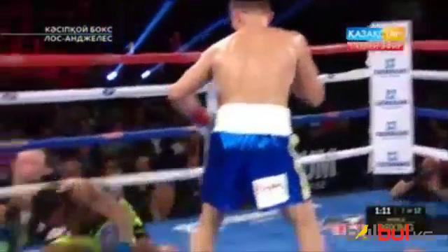 WBC временный чемпион чемпион