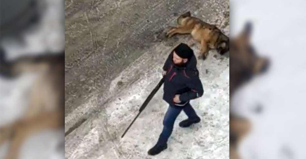 Отстрел собак в микрорайоне Кок-Жар в Бишкеке