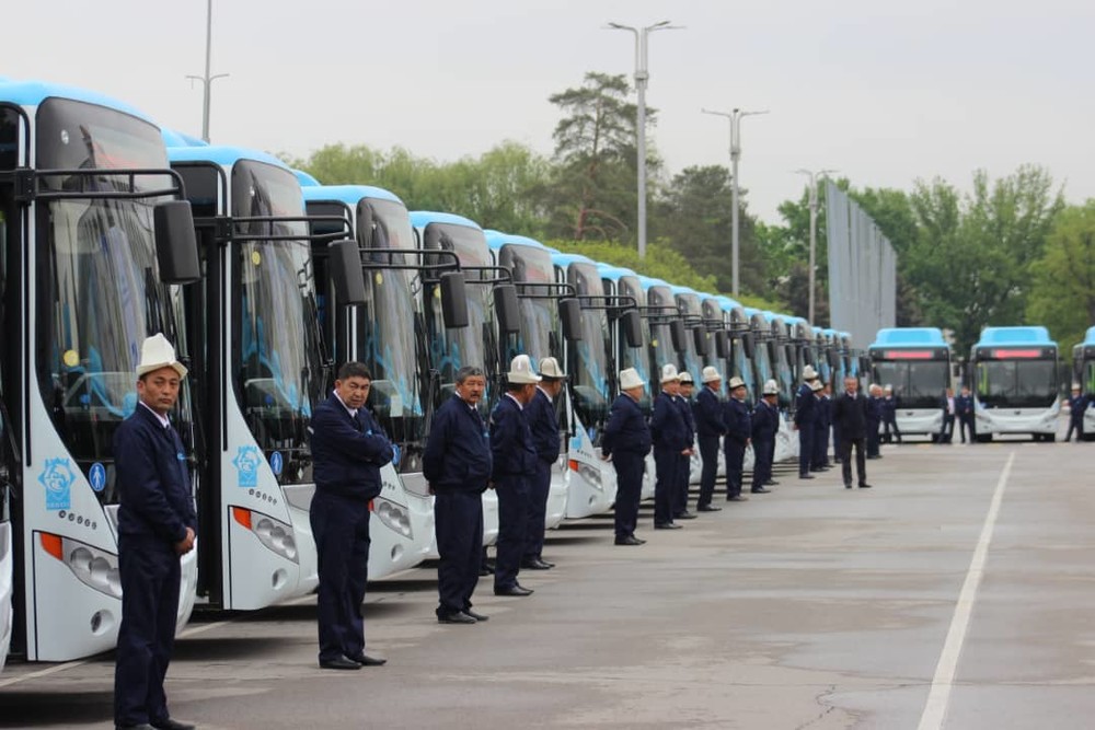 Автобусы, закупленные в 2019 году