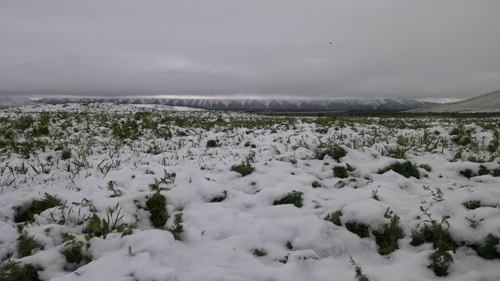 Снег в Суусамырской долине