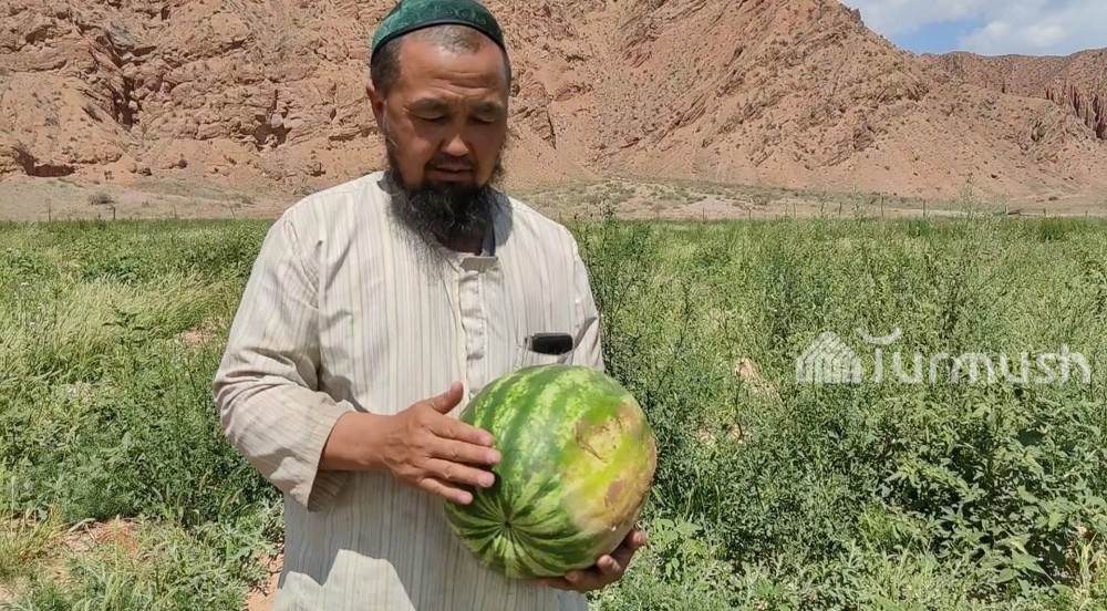 Жылдызбек Актаев