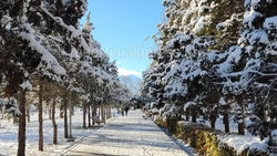 Утренний Бишкек в снегу. Фото Азата