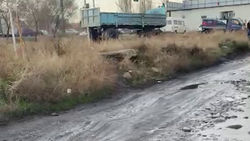 Жительница Кара-Жыгача жалуется на продавцов угля. Видео