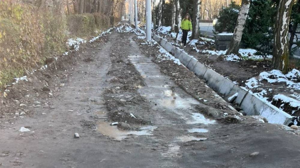 Когда закончат ремонт тротуара по Советской? Фото горожанина