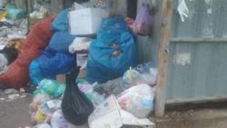В Арча Бешике пакеты с мусором вываливаются из баков. Фото