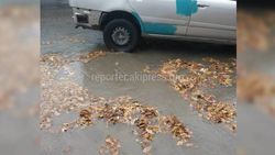 Потоп на улице Т.Фрунзе устранили с помощью илососной машины, - мэрия