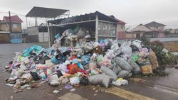 К мусорке на Шералиева не подойти из-за пакетов и мешков. Фото