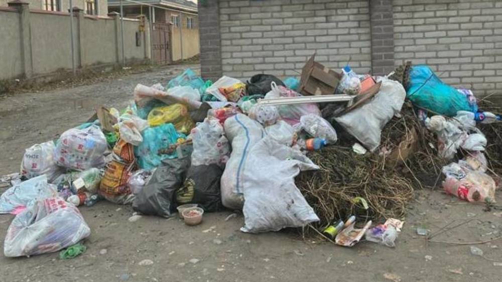 «Как в индийских трущобах». Житель Ак-Орго жалуется на мусор. Фото
