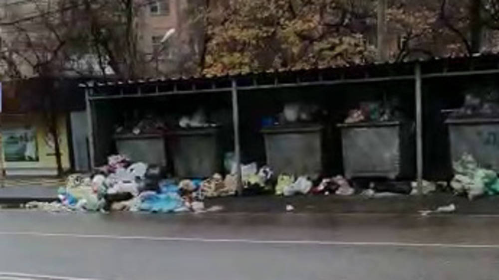 На Донецкой мусор вываливается из баков. Видео