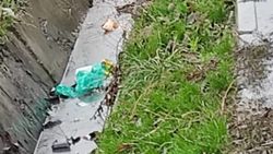 Горожанин жалуется на мусор в арыке на Щербакова. Фото
