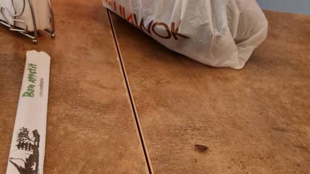 В CушиWok по столу бегают тараканы. Фото